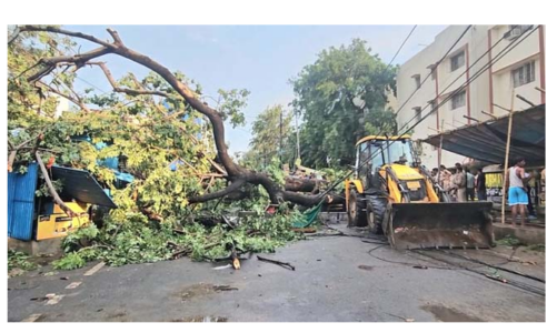 यूपी में आंधी-तूफान और बारिश का कहर, 96 लोगों की मौत, कई ट्रेनें प्रभावित