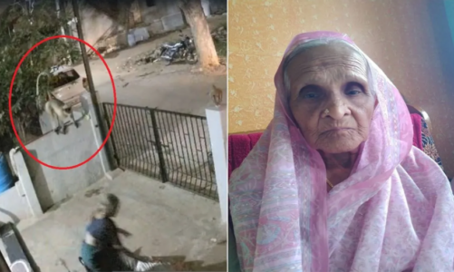 कर्नाटक में बंदर ने 91 साल की बुजुर्ग महिला को दिया धक्का, CCTV में कैद हुई पूरी घटना