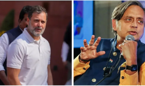 राहुल गांधी की विदेश यात्रा पर सवाल, शशि थरूर बोले- मैं ट्रैवल एजेंट नहीं हूं